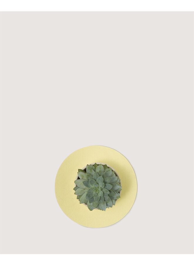 Merino Wool Trivet