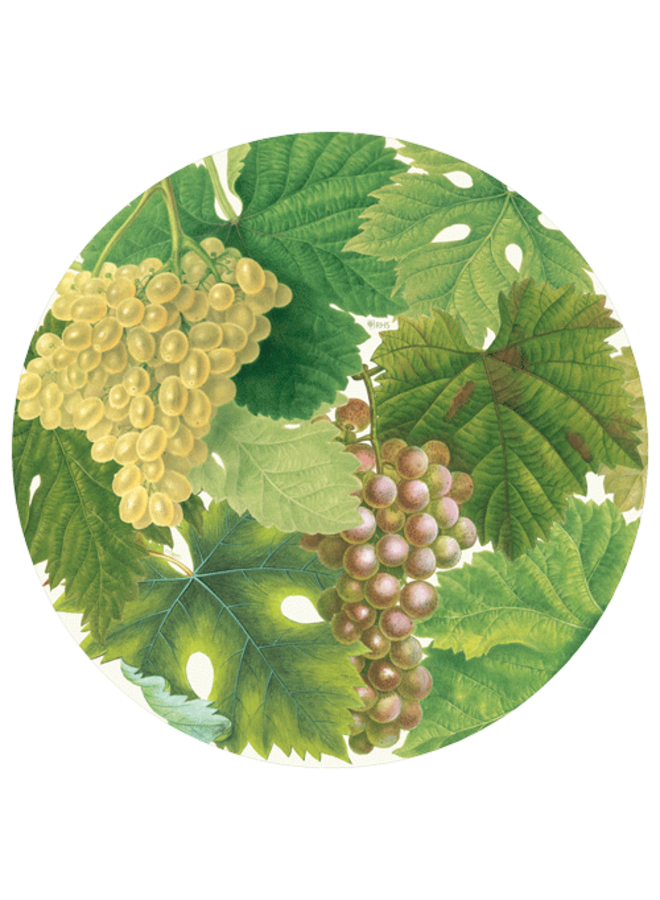 Arbor Round Paper Placemats - 12 Per Package
