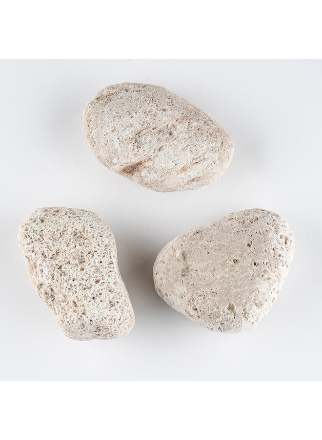 Pumice Stone