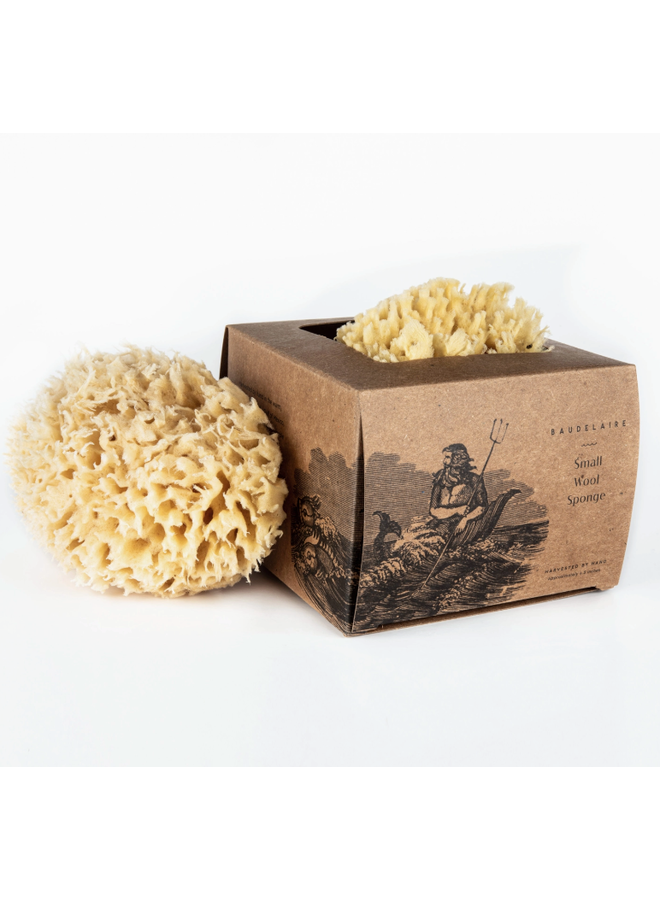Bath Sea Sponge Gift Box - Small 4.5"