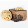 Bath Sea Sponge Gift Box - Small 4.5"
