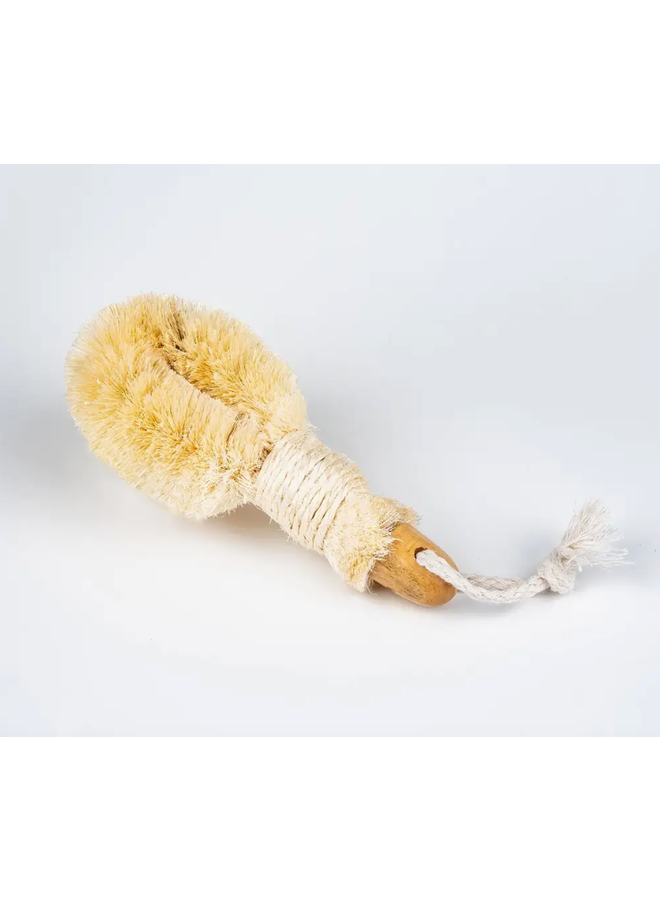 6" Sisal Nail Brush