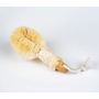 6" Sisal Nail Brush