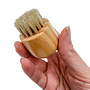 Cedar 2" Handheld Complexion Brush