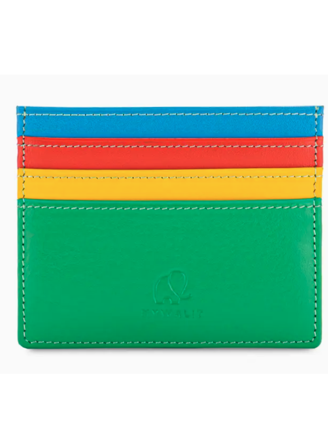 Credit Card Holder