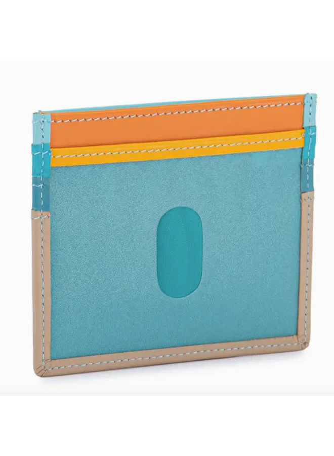 Credit Card Holder