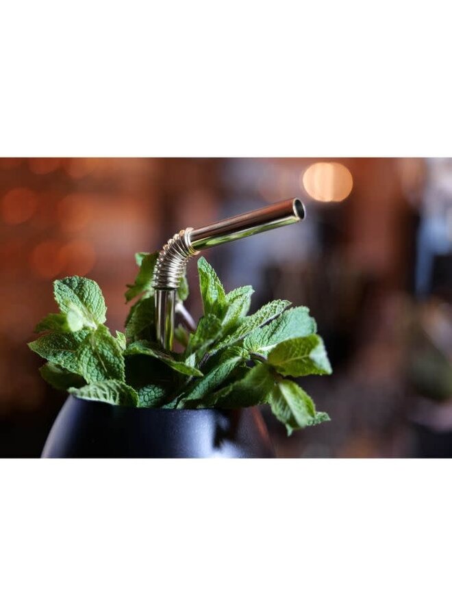Turtleneck Bendable Metal Drinking Straws S/4