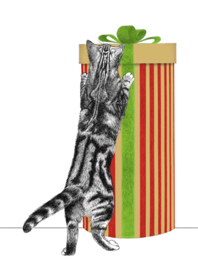 Curious Christmas Cats Enclosures Package 4 Pack