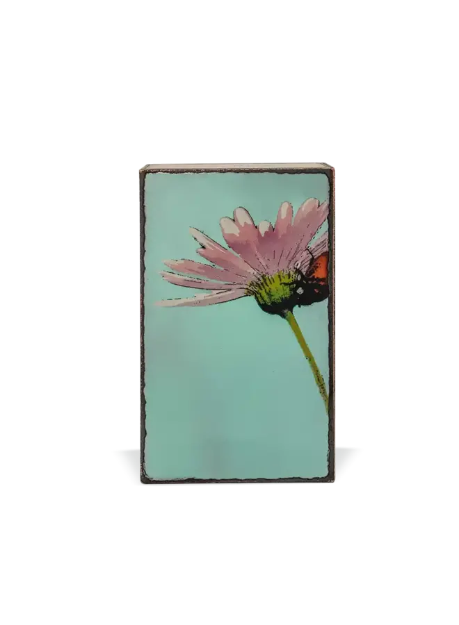 Spiritile Cherish #266 Retired