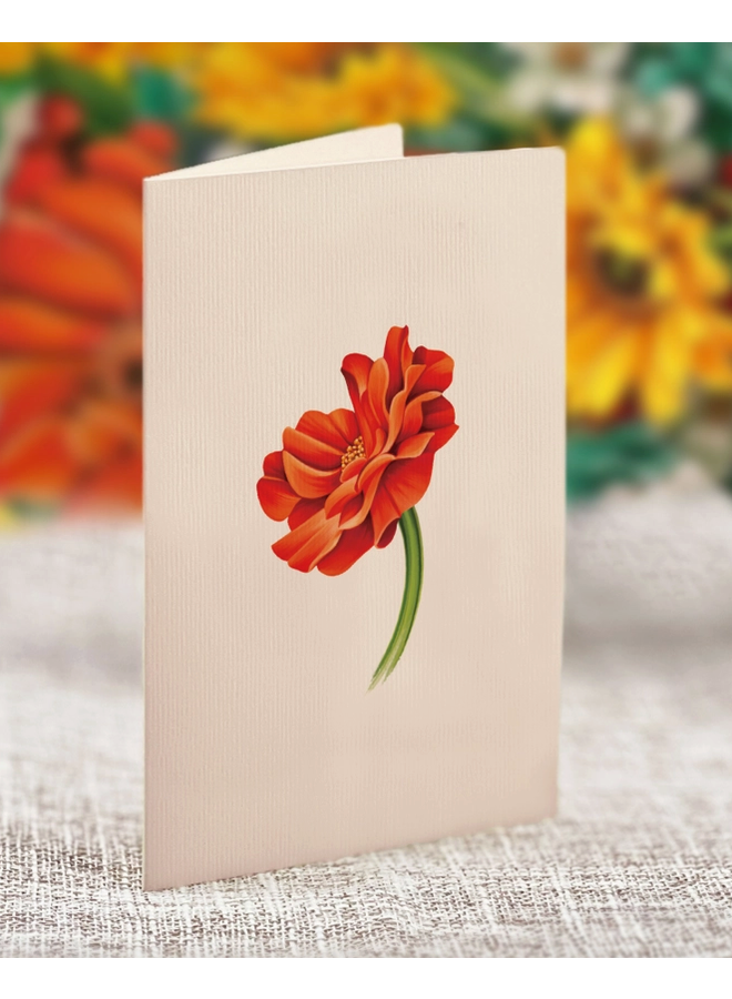 Mini Pop-Up Greeting Card Pumpkin Harvest