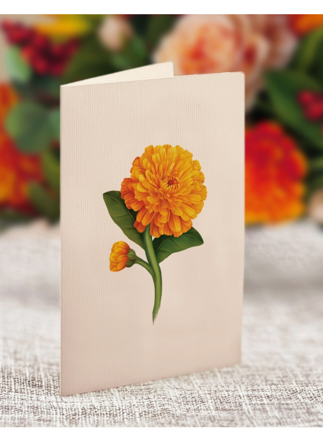 Mini Pop-Up Greeting Card Pumpkin Spice
