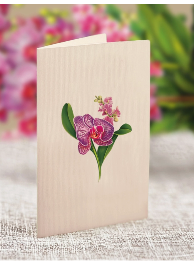 Mini Pop-Up Greeting Card Orchid Oasis