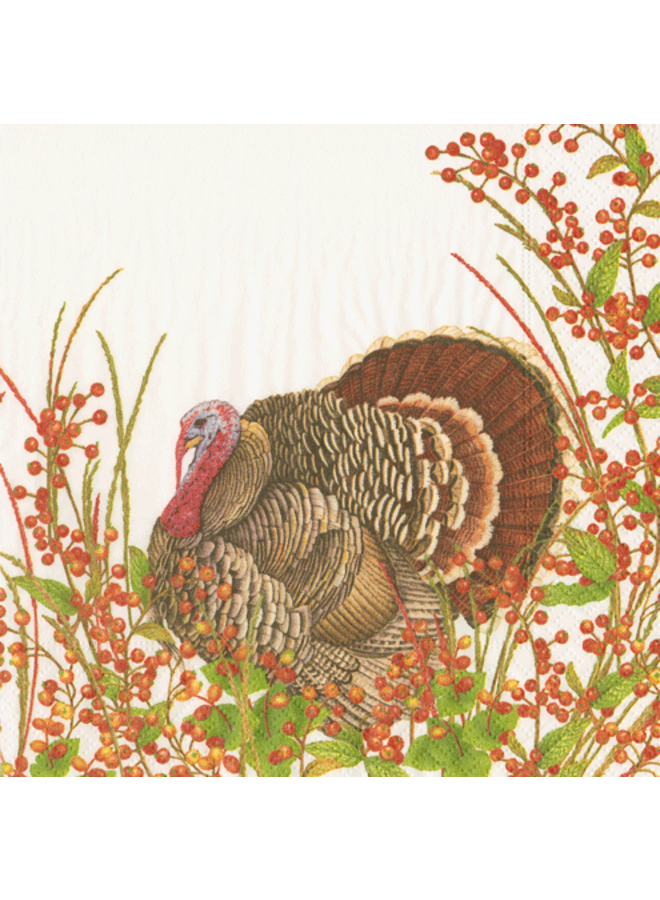 Turkey And Berries Luncheon Napkins - 20 Per Package