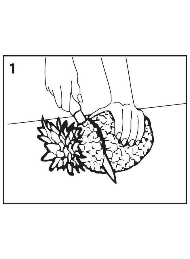 Pineapple Slicer and Corer