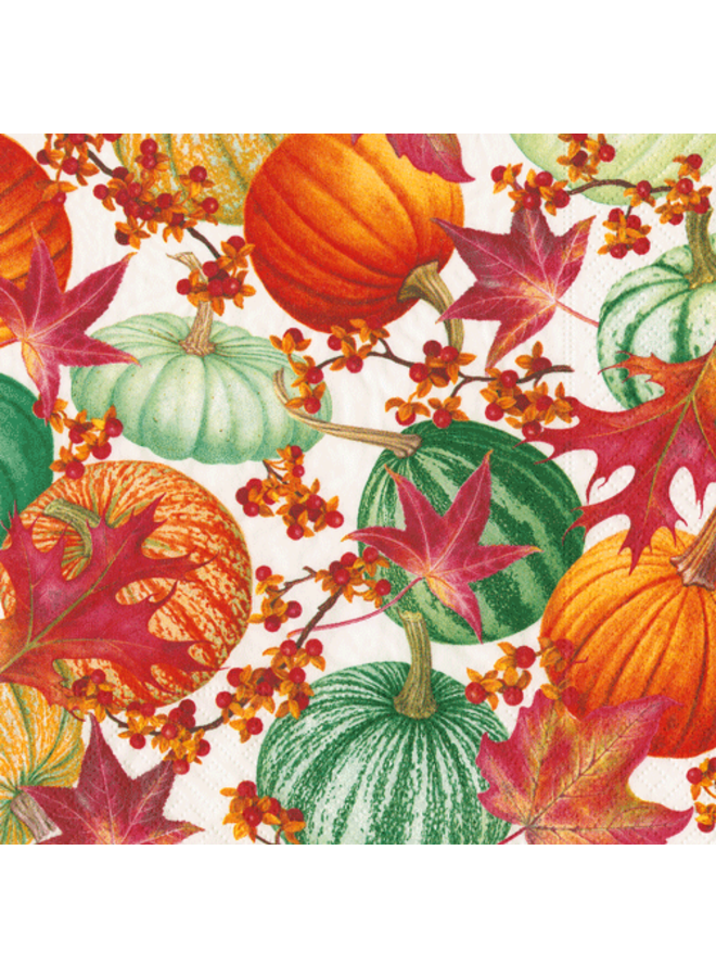 Gourds And Leaves Recycled Cocktail Napkins - 20 Per Package