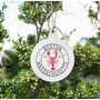 Boston Lobster Bulb Ornament