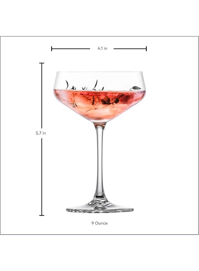Echo Cocktail Coupe 9.4 oz