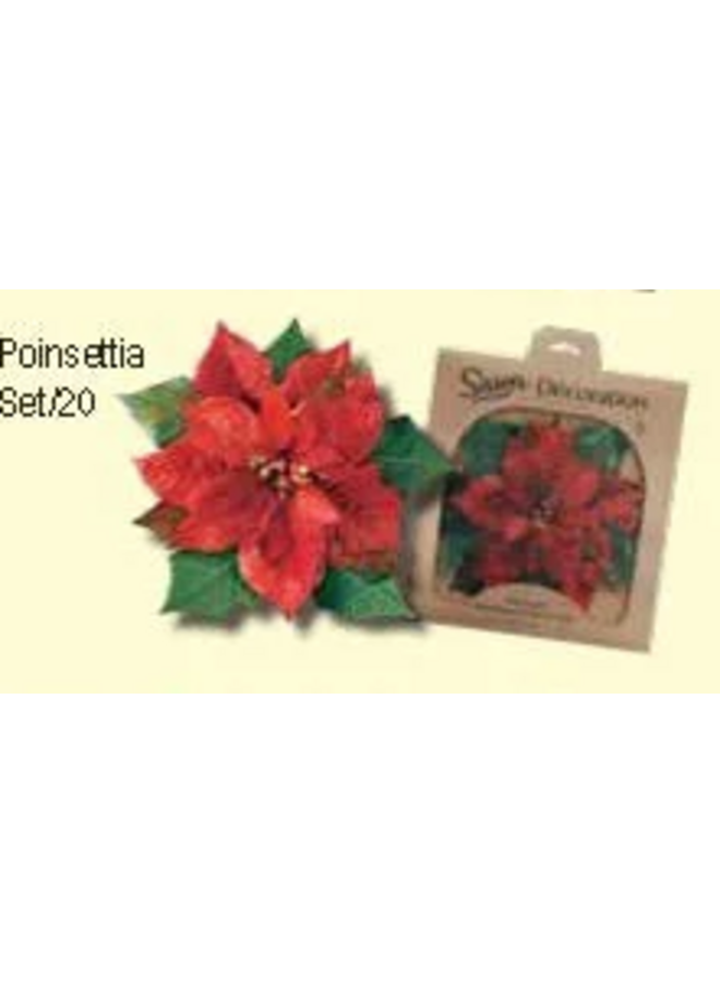 Poinsettia Parchment Set of 20