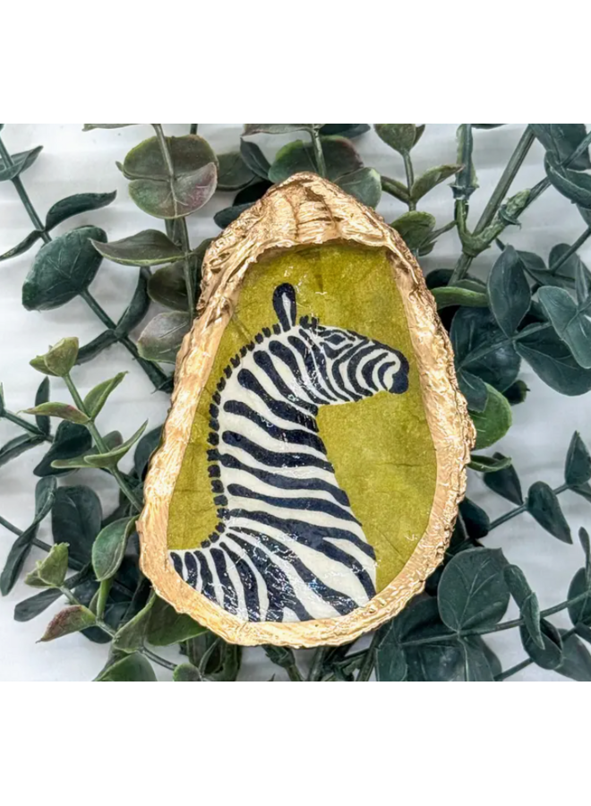 Zebra Oyster Trinket Dish