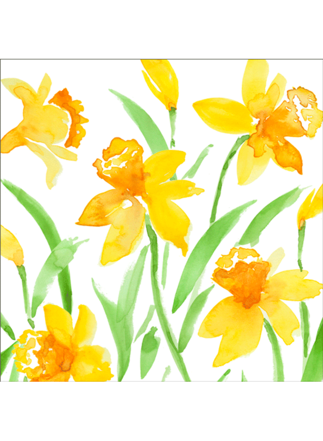 Spring Herald Cocktail Napkins 20 Per Package