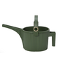 Garden Beetle Watering Can