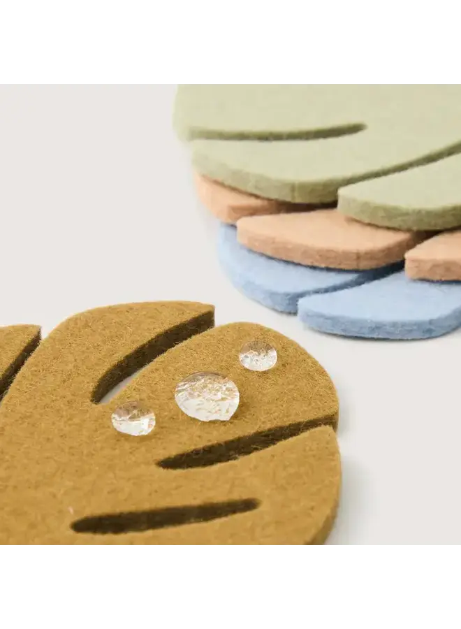 Coaster Monstera Tropics 4 Pack