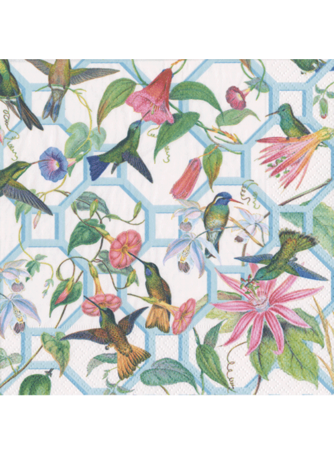 Hummingbird Trellis Boxed Paper Cocktail Napkins - 40 Per Box