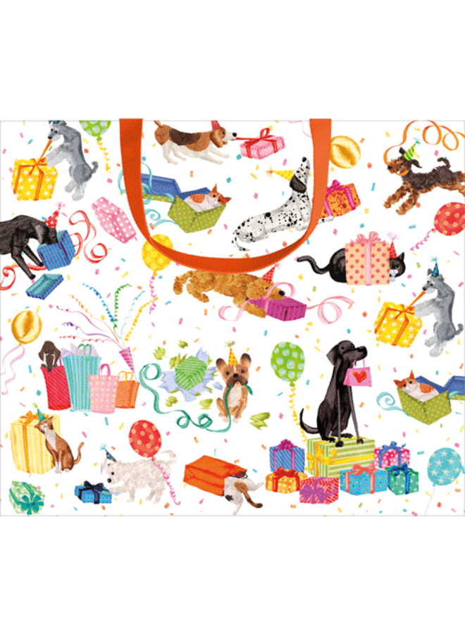 Birthday Pets Gift Bag