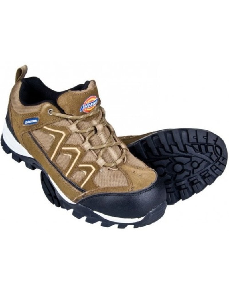 csa approved steel toe shoes