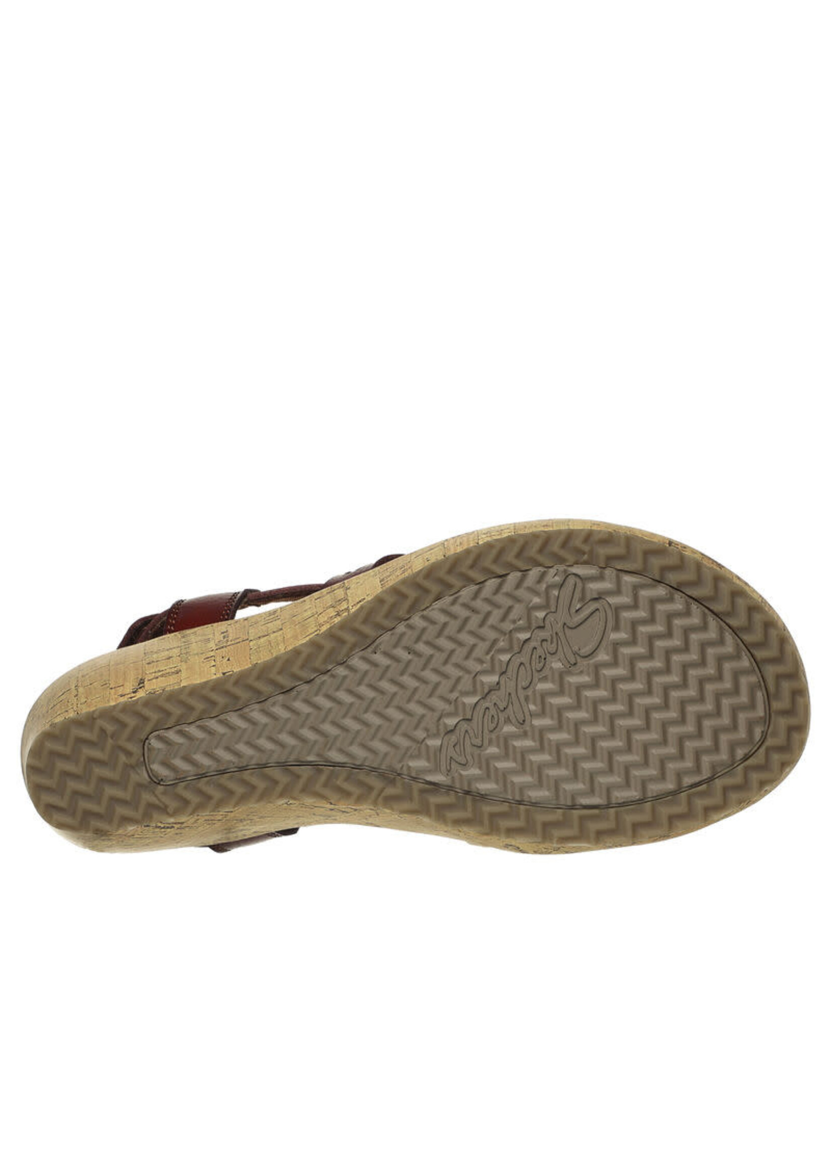 Skechers Women's Beverlee - Delicate Glow- Chocolate