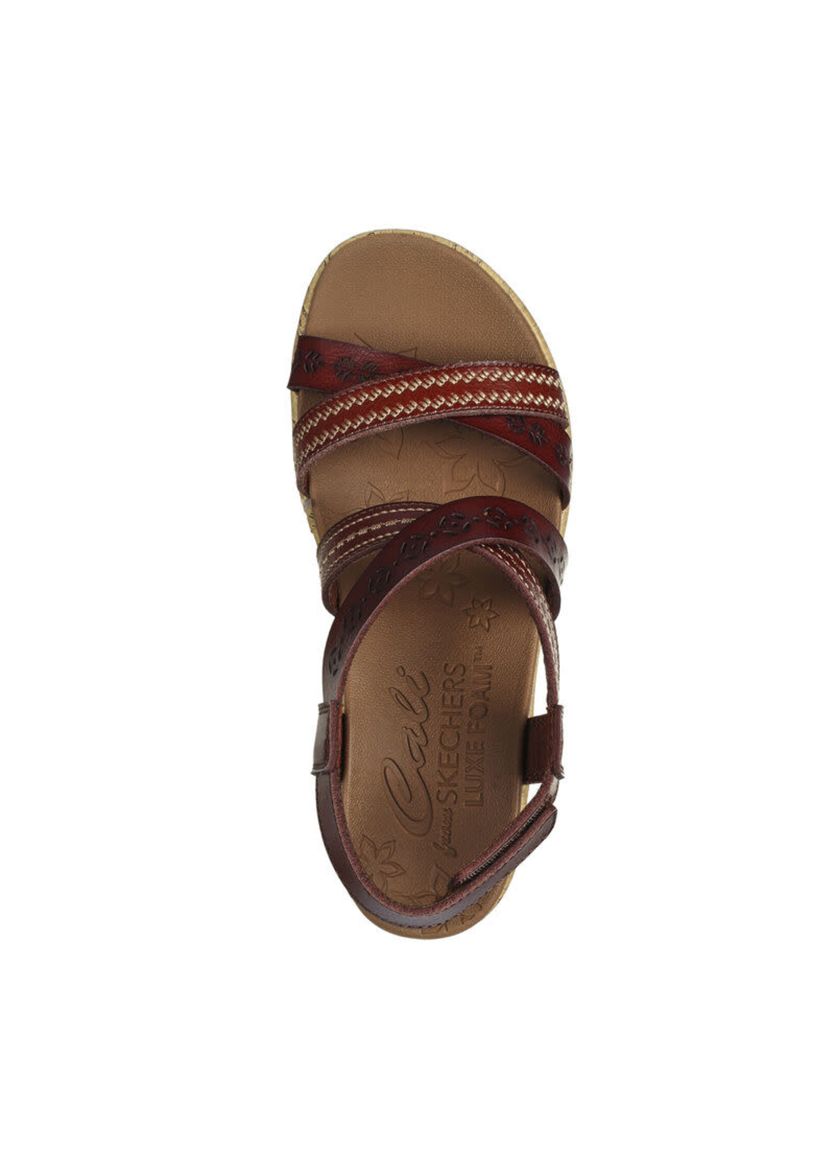 Skechers Women's Beverlee - Delicate Glow- Chocolate