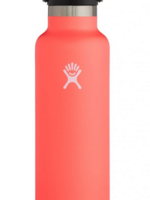 Hydroflask 21 OZ Standard Mouth/ Flex Cap (2021)