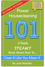 Sargent Steam Cleaners POWER HOUSE CLEANING 101