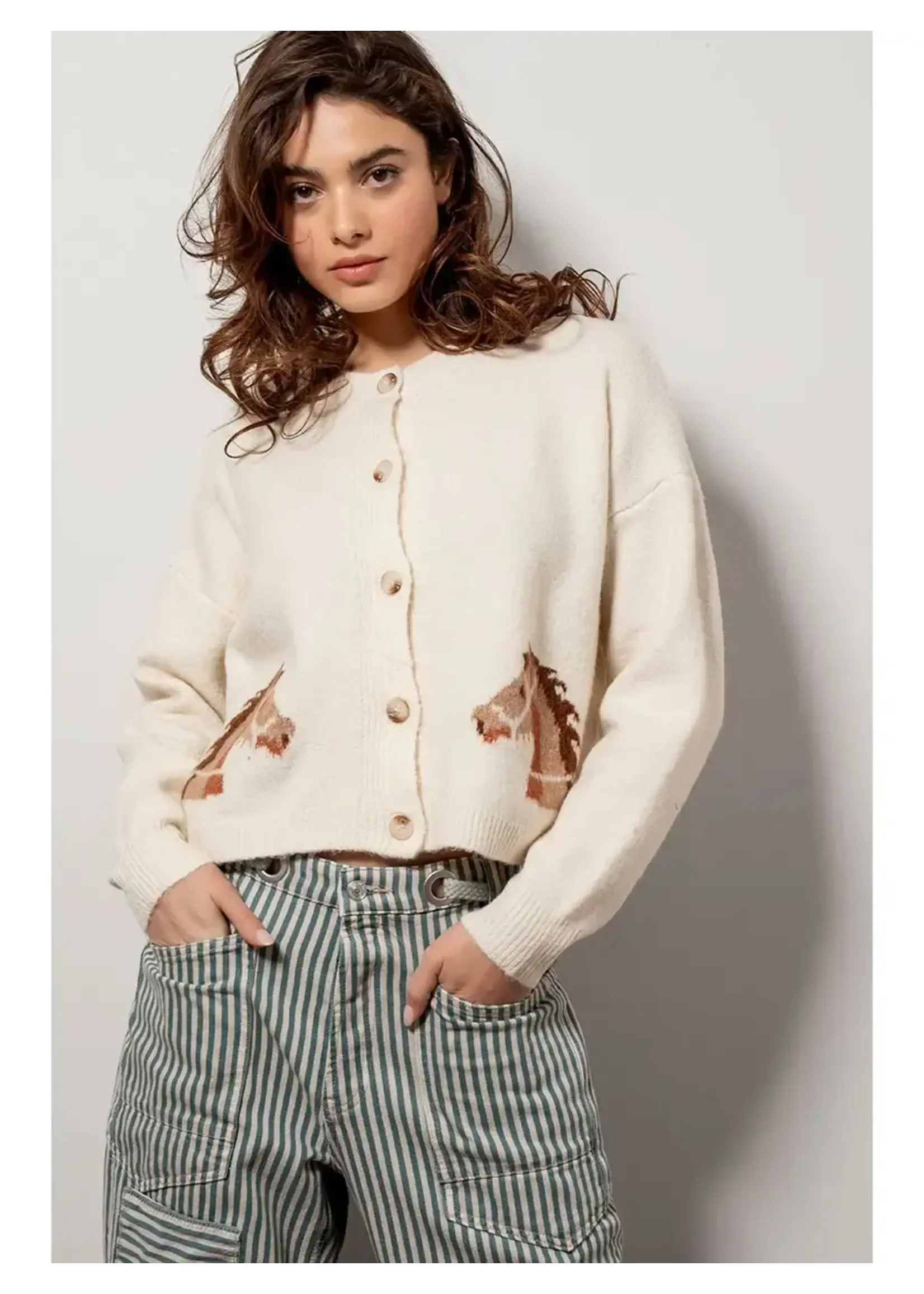 Urban Daizy Western Horse Cropped Cardigan