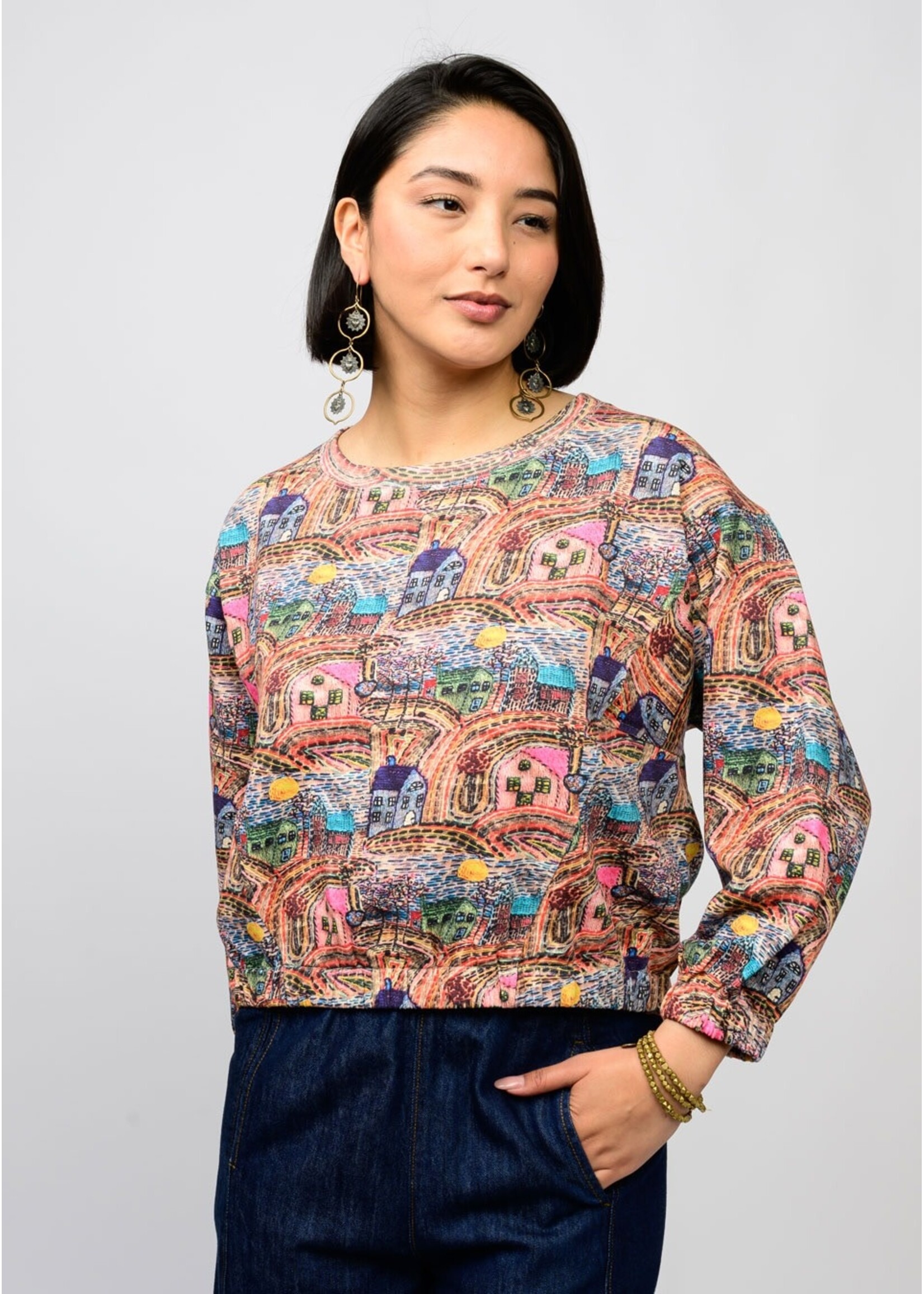 Ivy Jane Popover Novelty Knit Top (House)