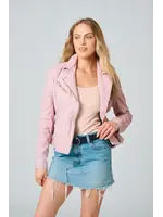 Mauritius Sofia (Hibiscus Pink)