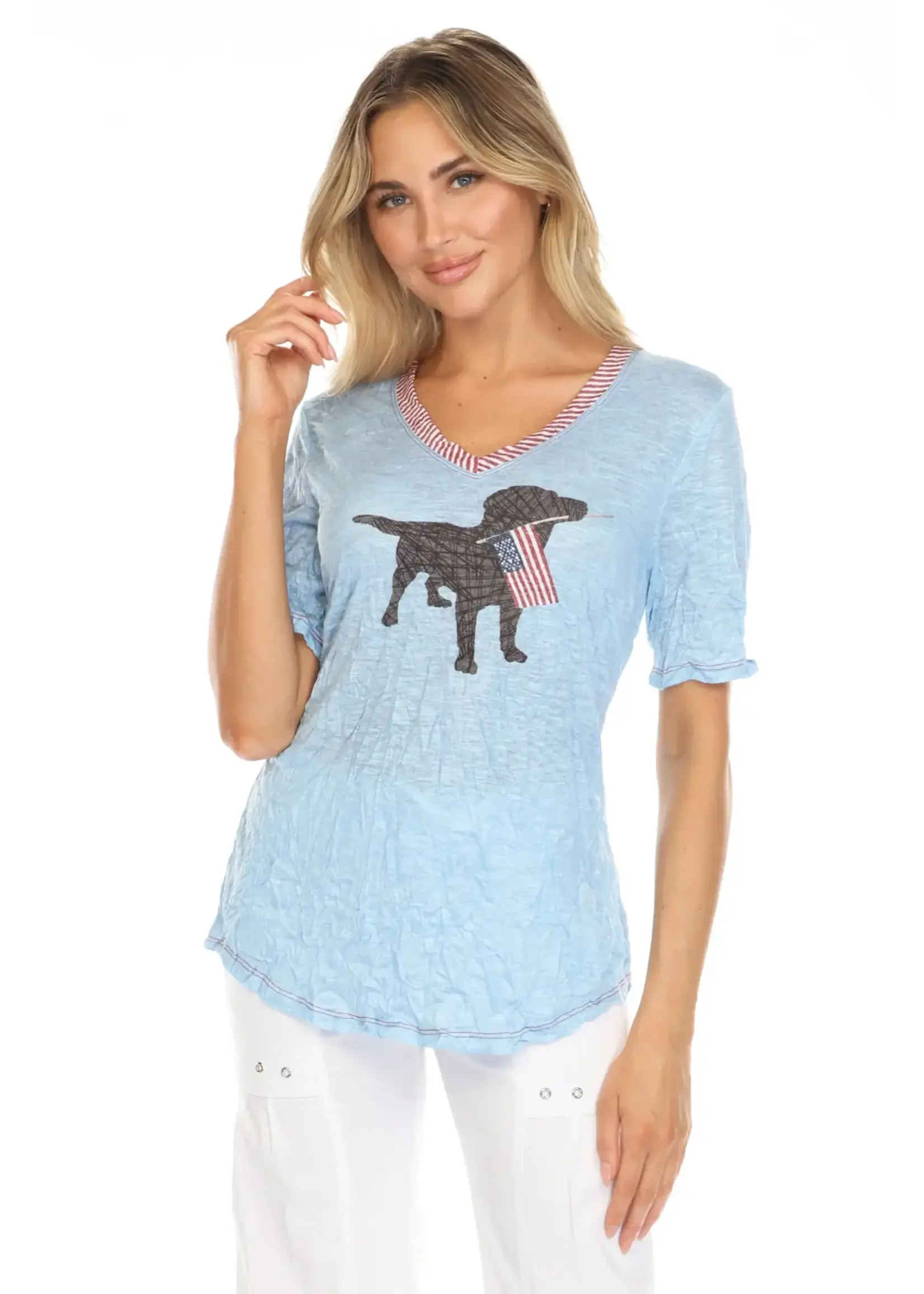 Carine V-Neck Top (American Dog)
