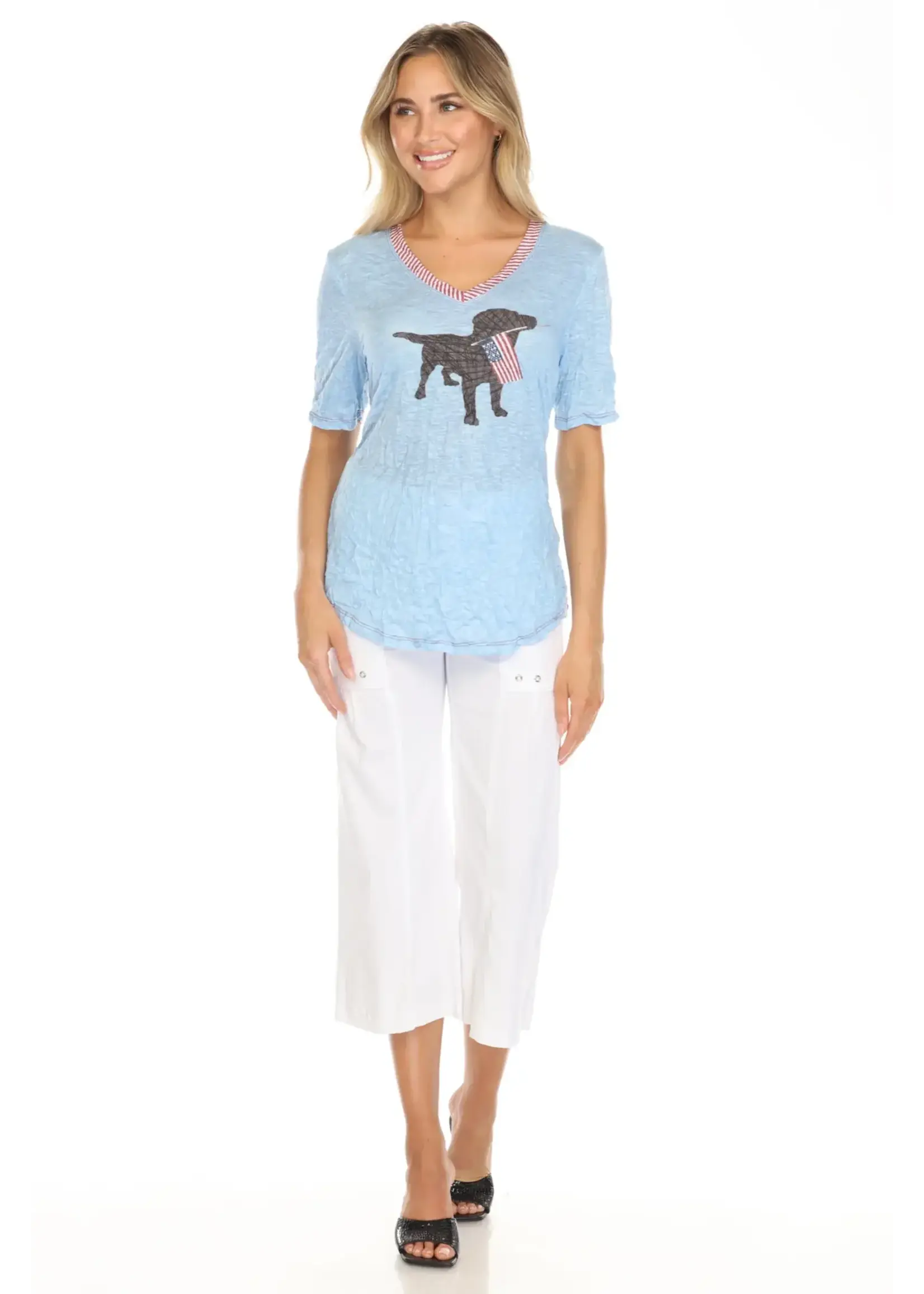 Carine V-Neck Top (American Dog)