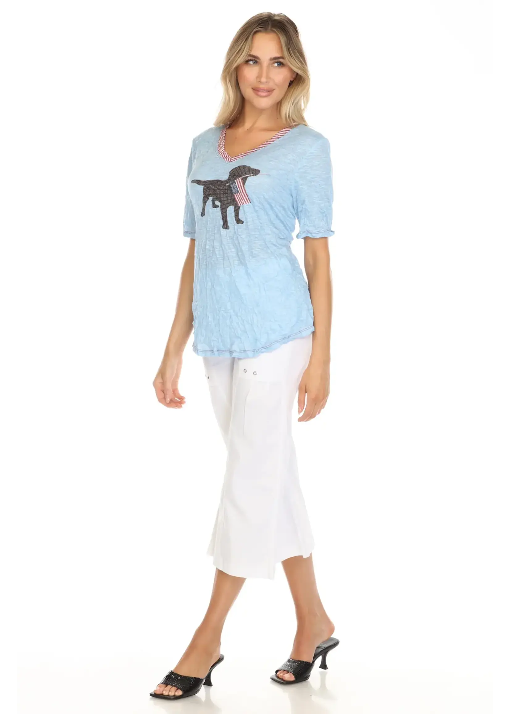 Carine V-Neck Top (American Dog)