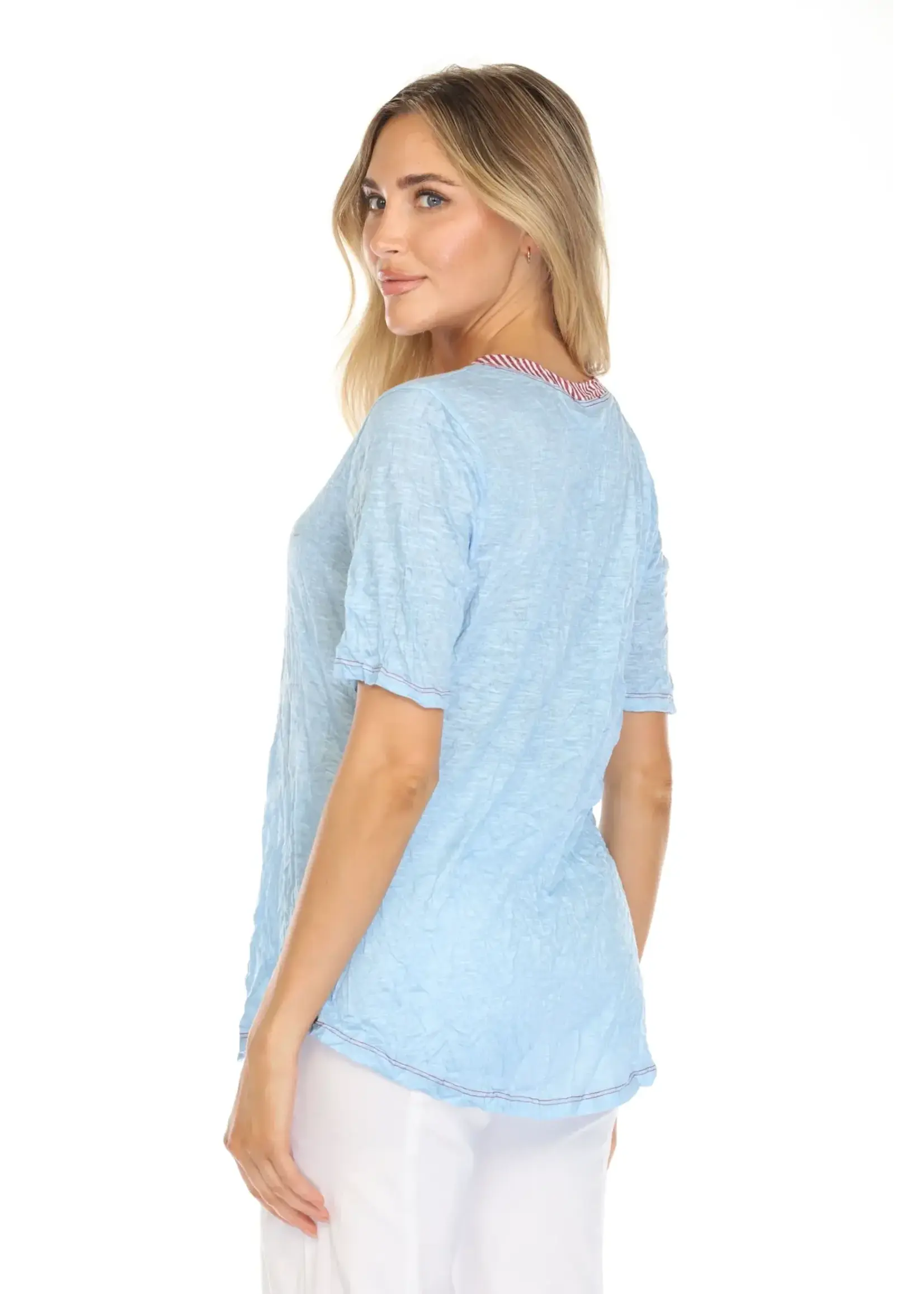 Carine V-Neck Top (American Dog)