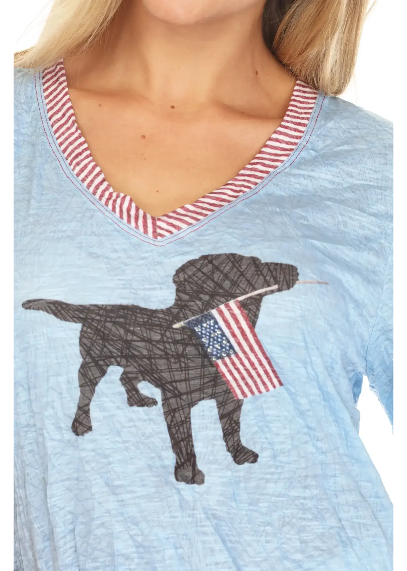 Carine V-Neck Top (American Dog)