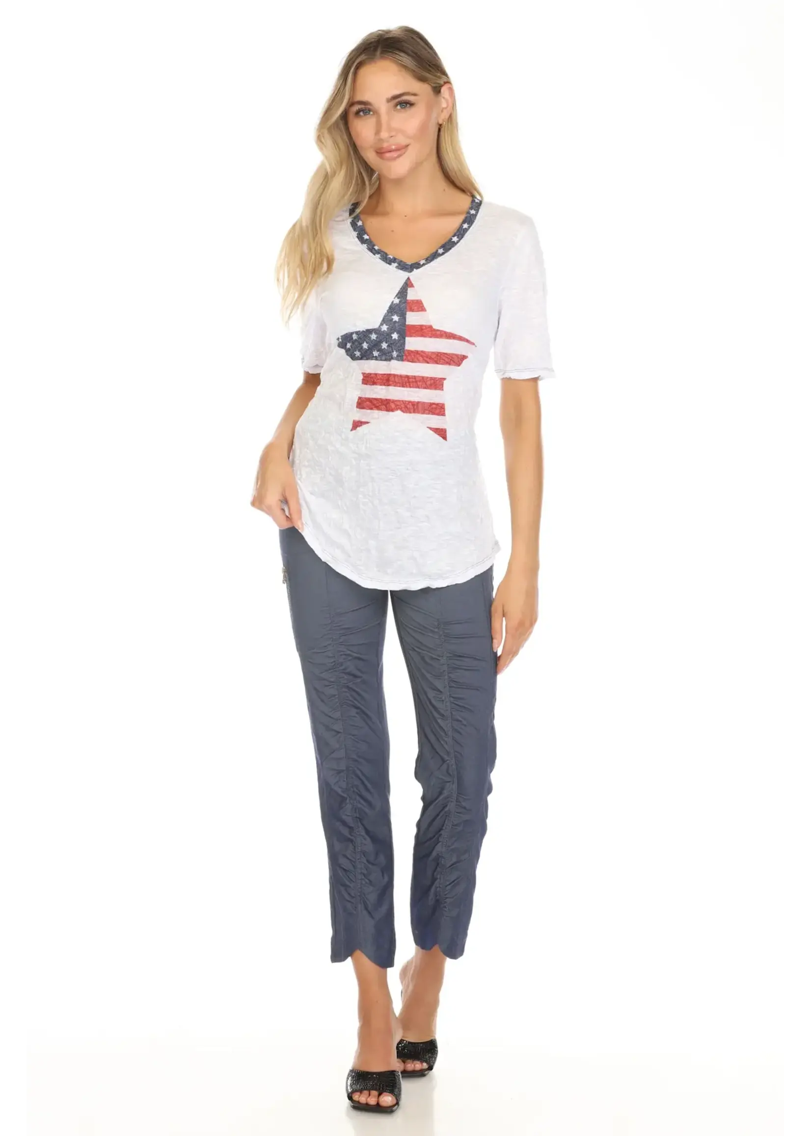Carine V-Neck Top (American Star)
