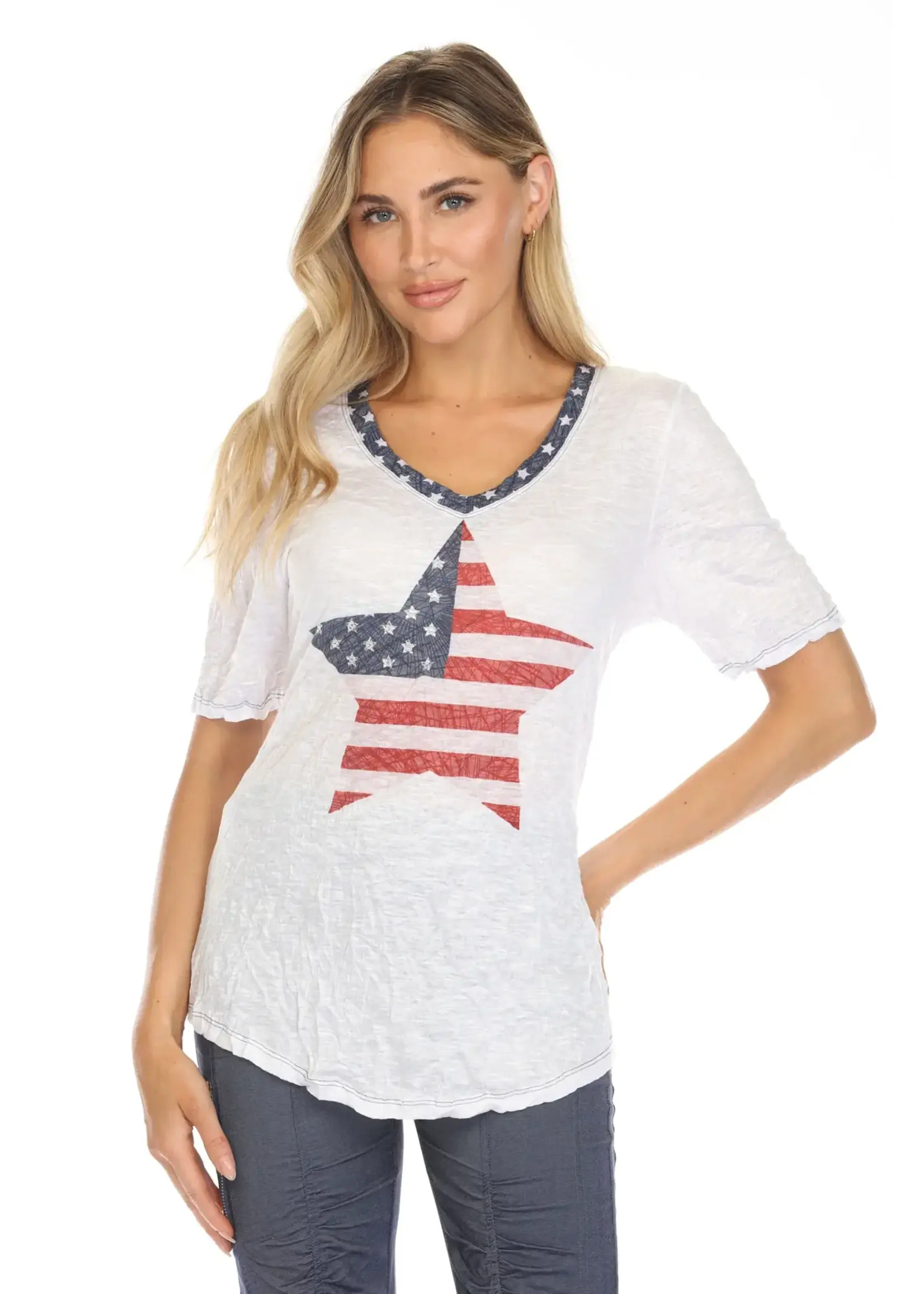 Carine V-Neck Top (American Star)