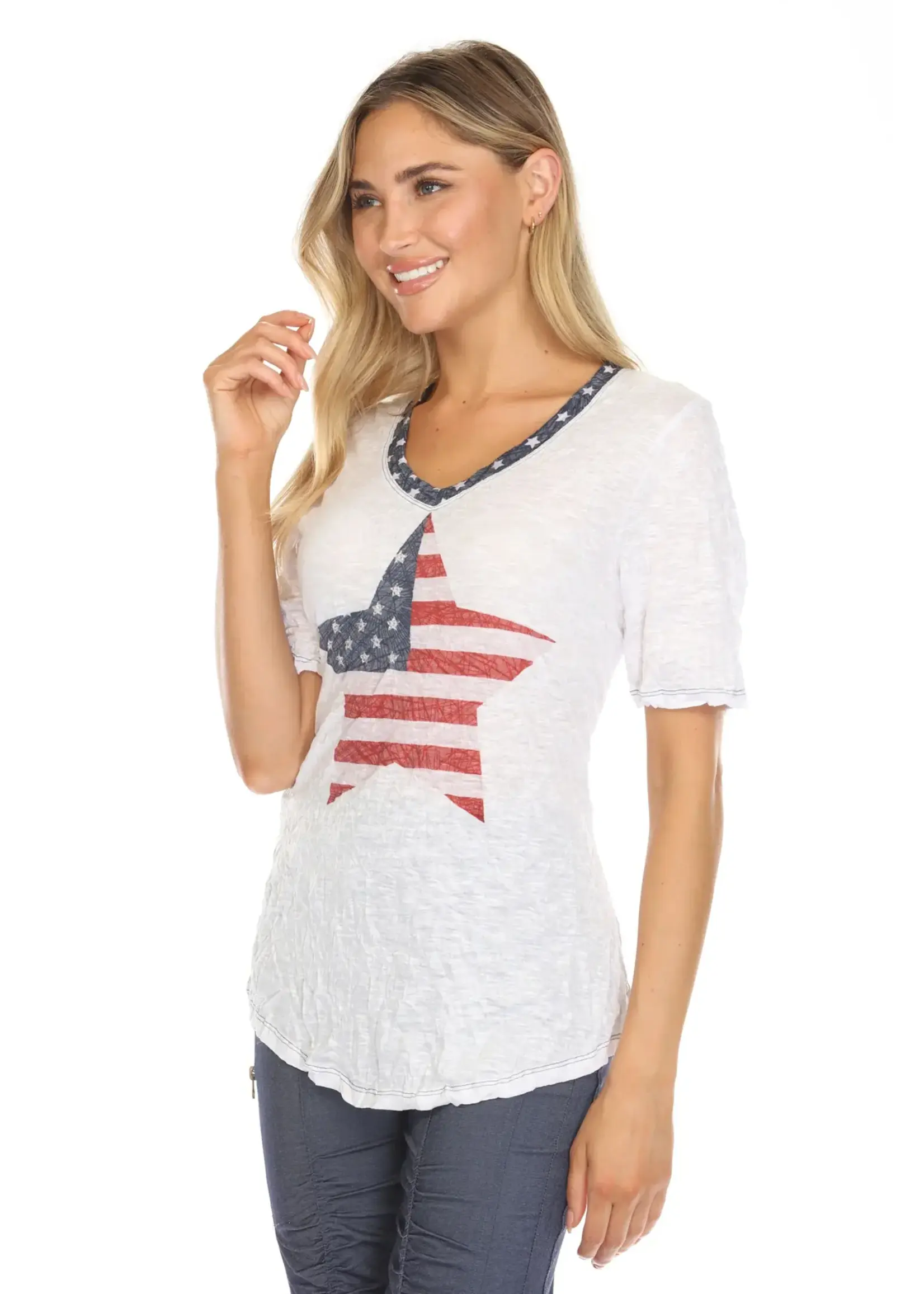 Carine V-Neck Top (American Star)