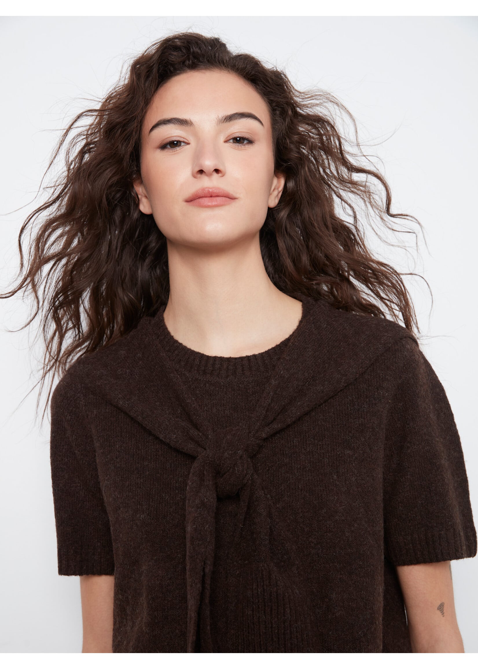 Charlie B Crew Neck Sweater w/Sleeve Detail (Coffee)