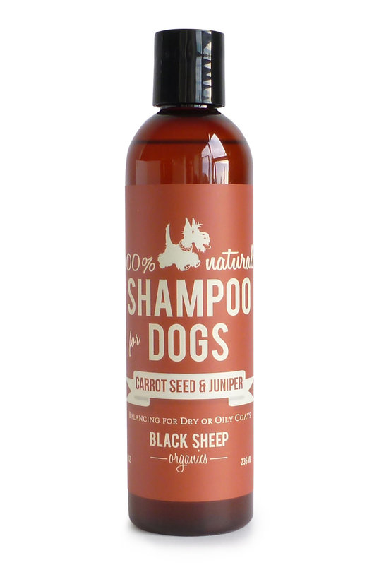 Black Sheep Organics Carrot Seed & Juniper Organic Shampoo