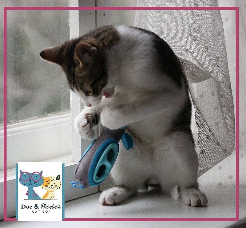 Doc & phoebe's cat co. Doc & Phoebe’s Indoor hunting cat feeder