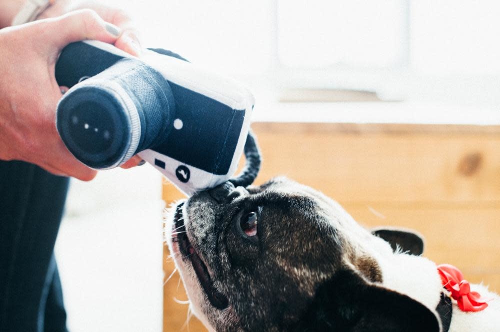 PLAY Plush Toy Camera