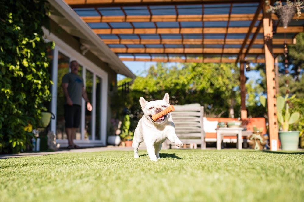 PLAY Scout & About - NovaFlex - Nova Crinkle Stick