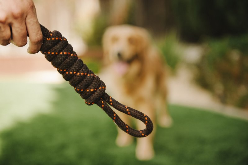 PLAY Scout & About - Rope Toy - Tug